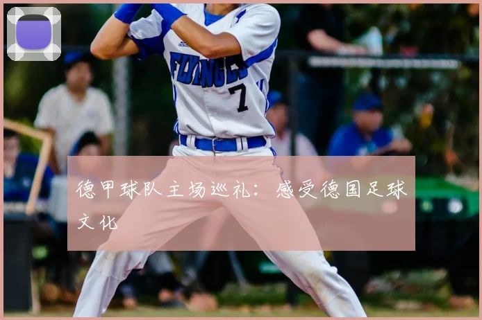 德甲球队主场巡礼:感受德国足球文化